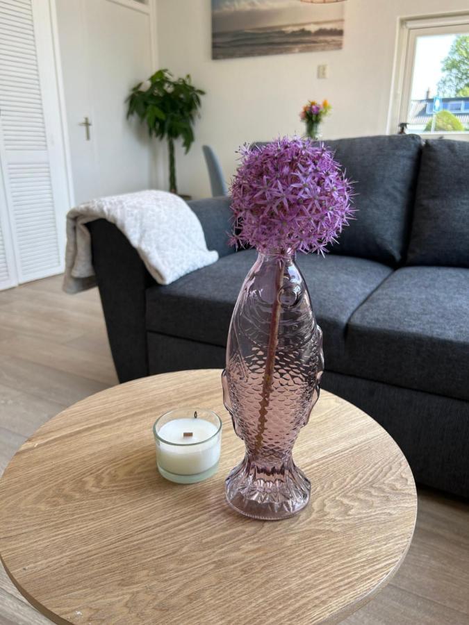 Amsterdam Beach Apartment 17, Incl Parking + Garden Zandvoort Eksteriør bilde