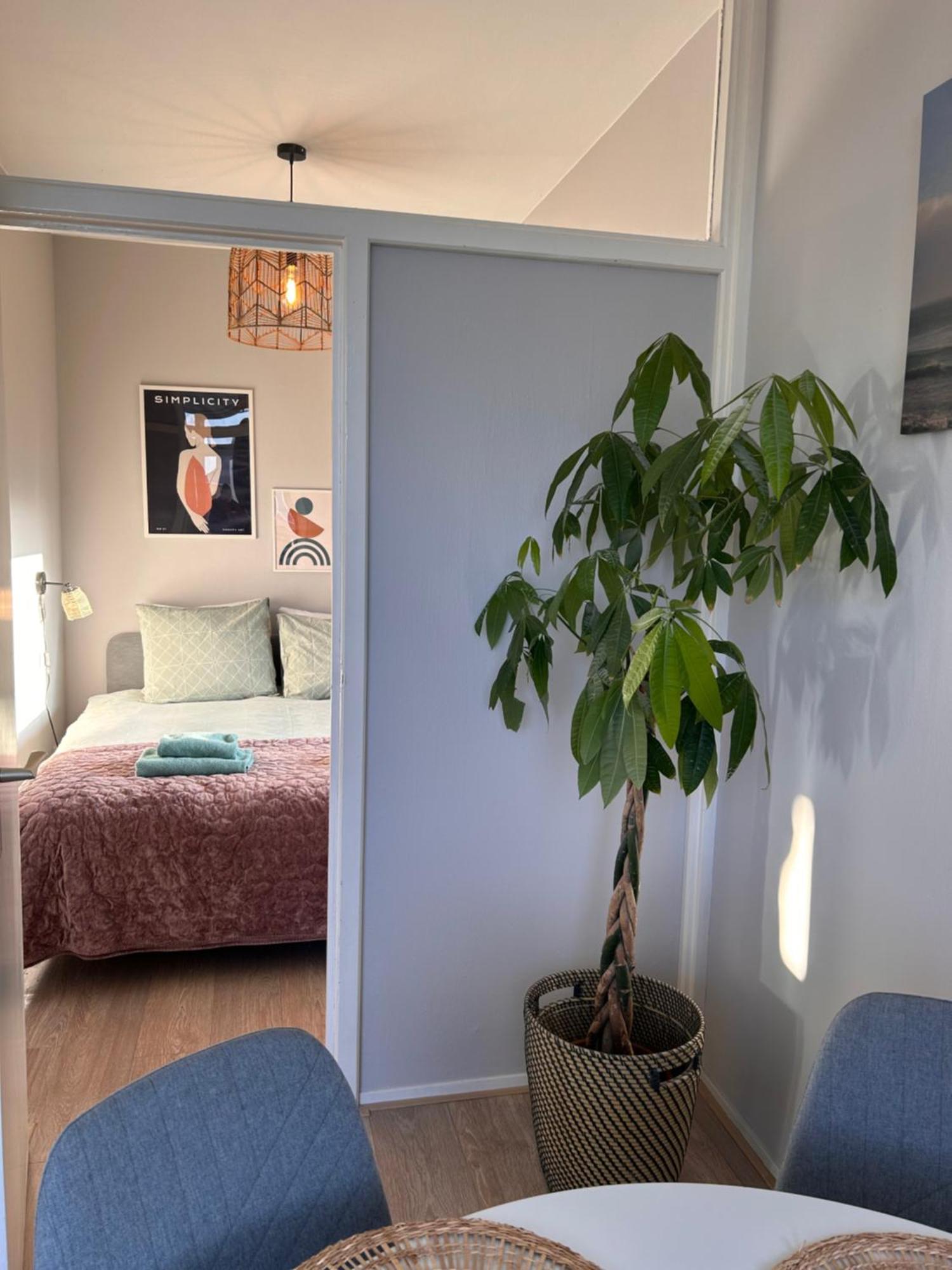 Amsterdam Beach Apartment 17, Incl Parking + Garden Zandvoort Eksteriør bilde